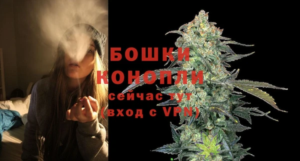 гидра Ачинск